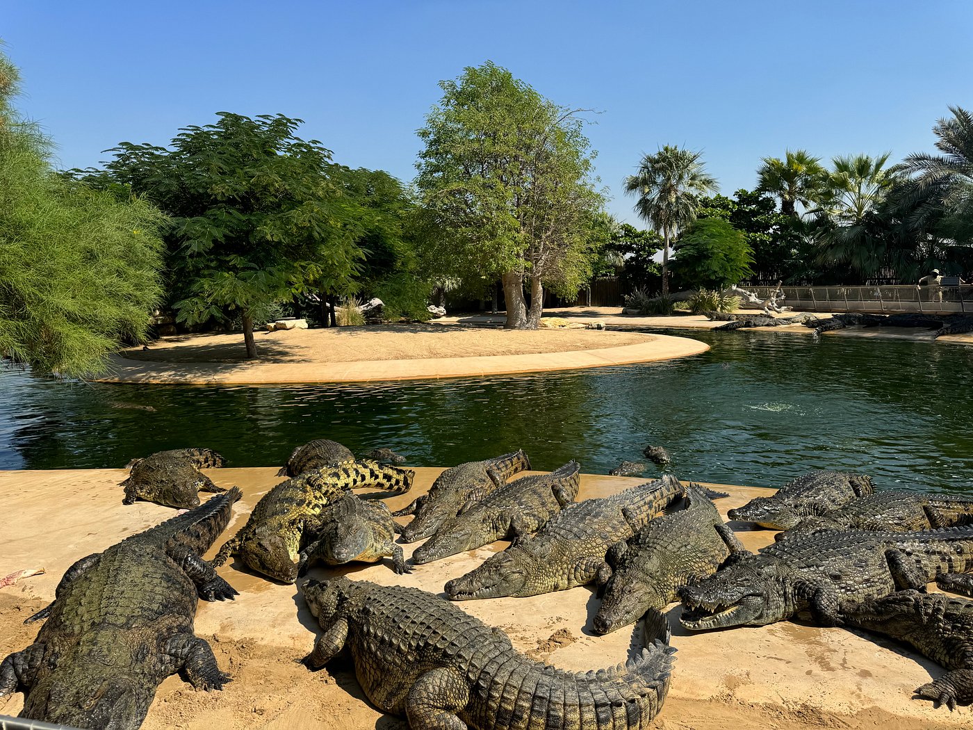 Dubai Crocodile Park Ticket