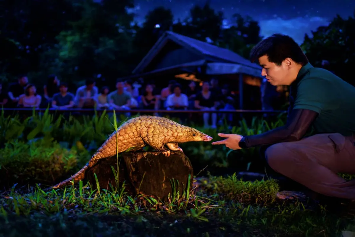 Night Safari Singapore