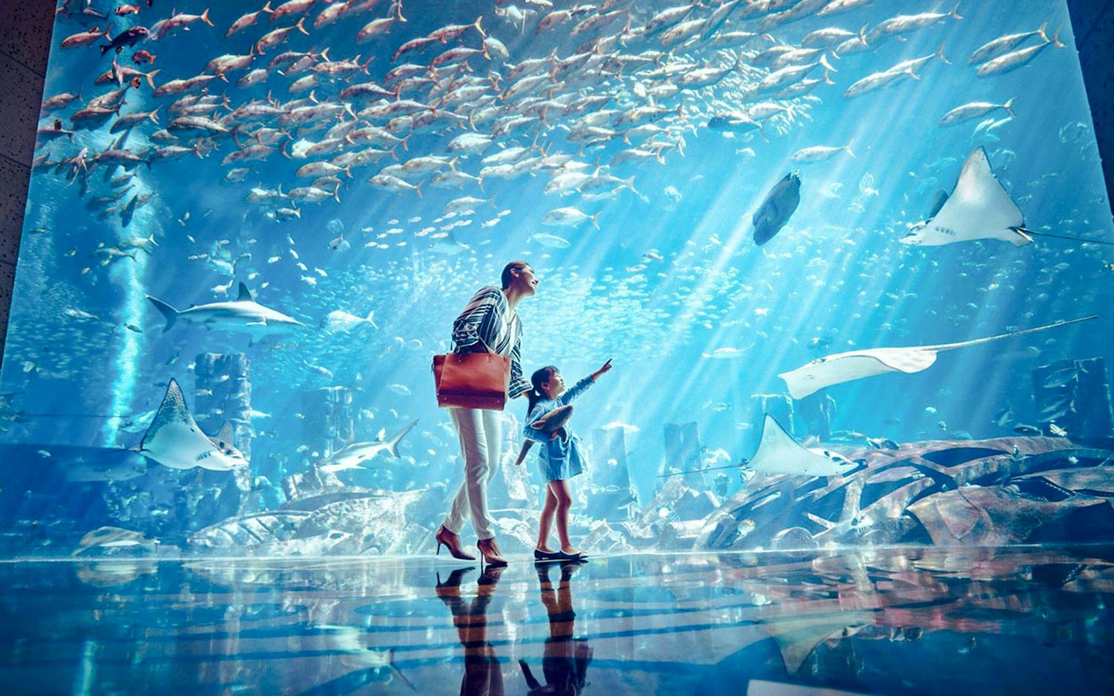 Atlantis Aquaventure Waterpark - Day Pass