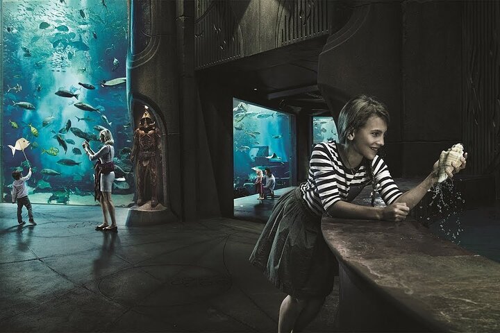 The Lost World Aquarium