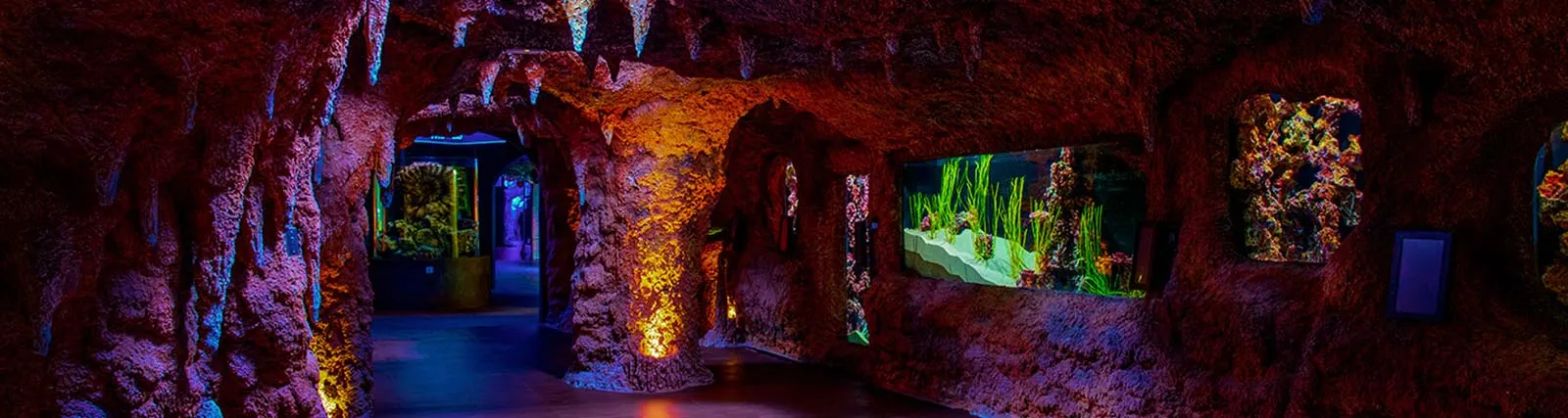 National Aquarium Abu Dhabi