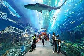 Dubai Aquarium & Underwater Zoo + Penguin Cove  (valid until 31 Dec 2025)
