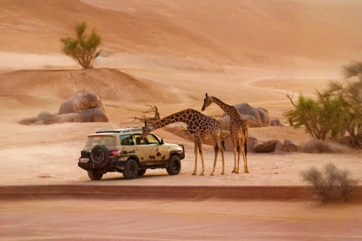 Al Ain Zoo
