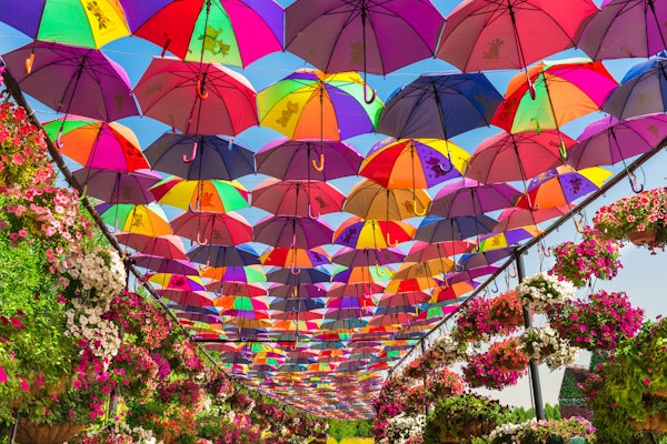 Dubai Miracle Garden