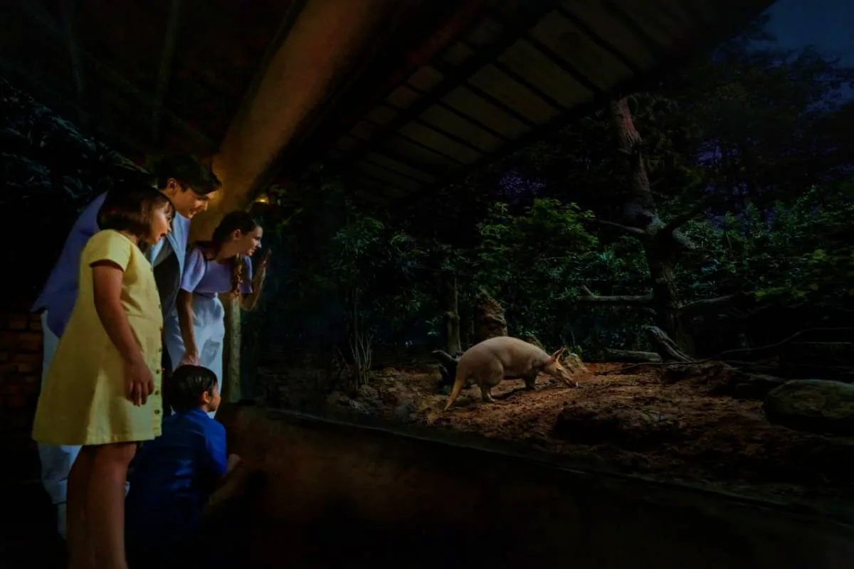 Ride, Slide, Explore: A Young Traveler’s Trail