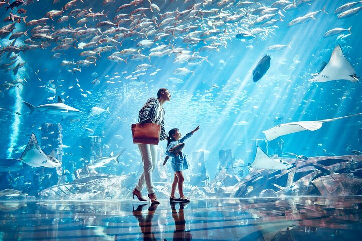 The Lost World Aquarium